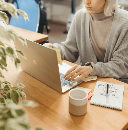 Leal Torlian equipo de apoyo ilustración